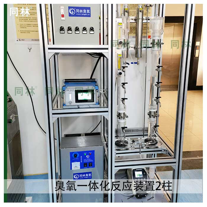 多相臭氧催化氧化裝置（2柱（zhù））