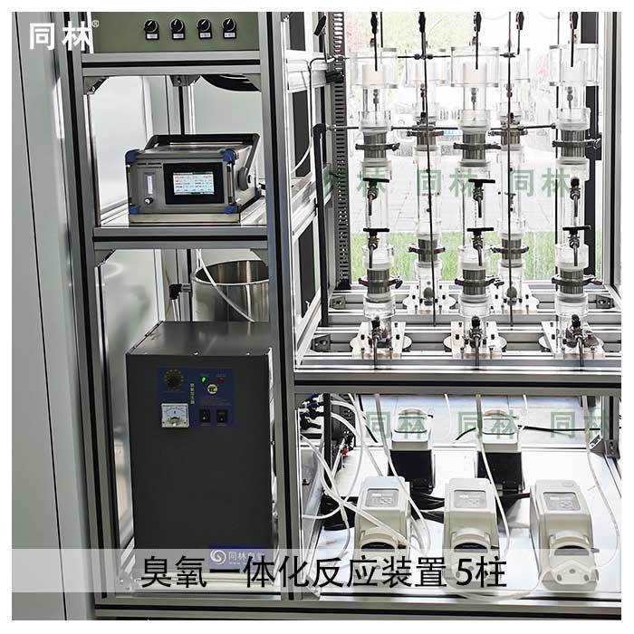 臭氧高級催（cuī）化氧化裝置（5柱（zhù））