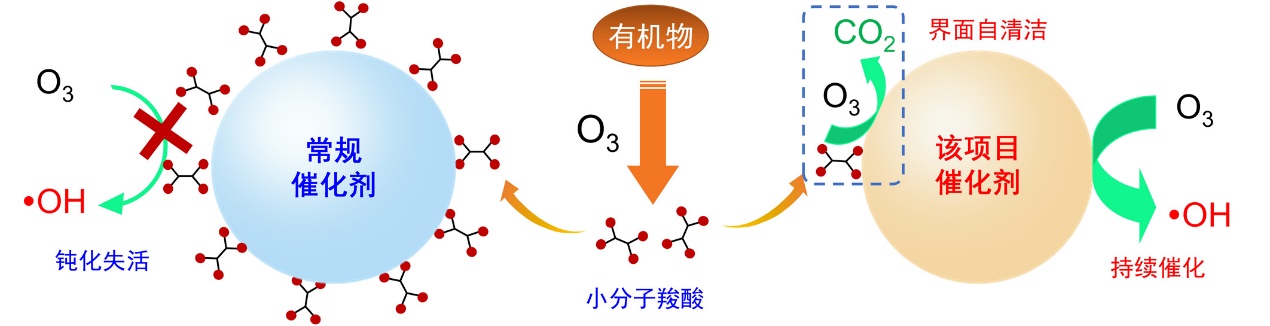 新型臭氧催化氧化水處理技術裝備入選政府推薦目（mù）錄（lù）