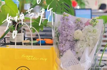 向“她”致敬（jìng），光芒何止今天。